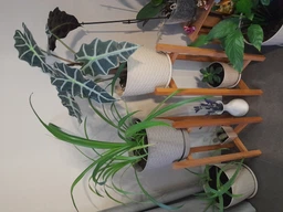 Підставки для вазонів дерев'яні WoodDecor комплект в натуральному кольорі покриті олією висока і низька фото від покупців 1