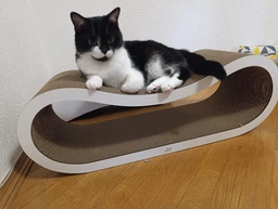 Кігтеточка - лежанка для котів "Leo Pets" L (72х24х25cм) фото від покупців 5