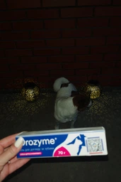 Гель Orozyme (Орозим) для зубов и десен для животных, 70 г фото от покупателей 4