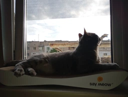 Когтеточка-лежанка для кошек Say Meow Dream гофрокартон, 57×7×24 см (8040190101004) фото от покупателей 13
