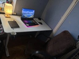 Стіл Mealux PowerDesk Lite Antique з електрорегулюванням висоти (арт. EVO-201 Lite Antique/B) фото от покупателей 13