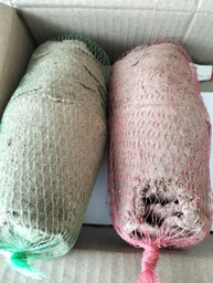 Фунгицид Ридомил Голд, 25г, Syngenta (Сингента)