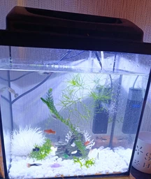 Акваріум із кришкою LED GloFish 30*21*25 см, прямий, 16 л