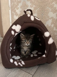 Мягкий домик для собак и кошек Pet Toys Hut 27х27 см Синий