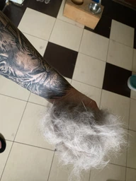 Фурминатор для котов с короткой шерстью FURminator размер M/L (691661) (4048422141259) фото от покупателей 10