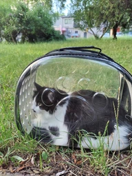 Сумка переноска mini Pet прозора для домашніх тварин (кішок, собак, кроликів і ін.) (Код: IBH010B)
