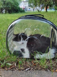 Сумка переноска mini Pet прозора для домашніх тварин (кішок, собак, кроликів і ін.) (Код: IBH010B) фото від покупців 1