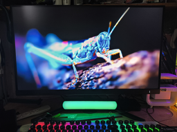 Монітор 27" Philips 27M2N5500 фото від покупців 1