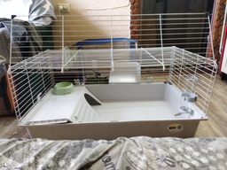 Клітка для кроликів та морських свинок Ferplast Rabbit 100 95х57х46 см Біла (57052370)