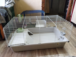 Клітка для кроликів та морських свинок Ferplast Rabbit 100 95х57х46 см Біла (57052370) фото від покупців 1