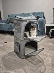 Сумка переноска для кота кошки собаки домашних животных двухместная сумка с окошком и выдвижной ручкой на колесиках колесах кошачьи сумки для переноски котов кошек маленьких собак серая (002259) фото от покупателей 6