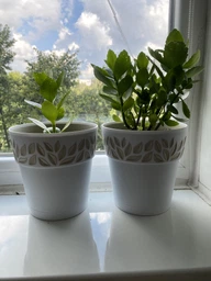Вазон круглий Stefanplast Opera Cloe 15 х 15 х 15 см Графіт/світло-сірий (94003) фото от покупателей 10