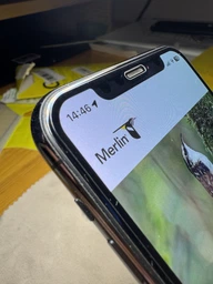 Защитное стекло на iPhone X Xs 11 Pro Защитное стекло для айфон X Xs 11 про на весь экран 2 шт комплект Shieldy
