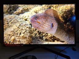 Монітор 27" AOC Mini LED Q27G3XMN/BK -- Mini LED 336 zone / QHD VA / 180Hz / 1ms / HDR 1000 / DCI-P3 96% / HAS / Pivot фото від покупців 2