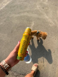 Аэрозоль от комаров и клещей Anti mosquito Kids 100 мл фото от покупателей 2