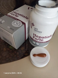Пищевая добавка Vet Expert Hepatiale Forte Small Breed & Cats для поддержания и защиты функций печени для кошек и собак мелких пород 40 шт (5907752658884) фото от покупателей 1