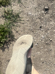 Чоловічі сандаліі Skechers 44 Синій 232899 NVY