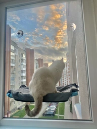 Спальное место для кошки кровать лежанка оконная гамак Sunny Seat Window фото от покупателей 12