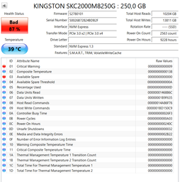 SSD диск Kingston KC2000 250GB NVMe M.2 2280 PCIe 3.0 x4 3D NAND TLC (SKC2000M8/250G)