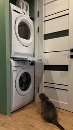 Пральна машина Electrolux фронтальна, 8кг, 1200, A+++, 58см, дисплей, інвертор, білий фото от покупателей 15