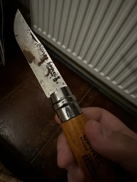 Туристичний ніж Opinel №10 VRN (2047823) фото від покупців 1