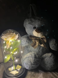 Роза в колбі з LED підсвіткою, вічна троянда нічник декоративна лампа в спальню дівчині подарунок для жінки романтичний дружині мамі на день народження троянда біла з батарейками в комплекті декор для інтер'єру 2100037 фото від покупців 1