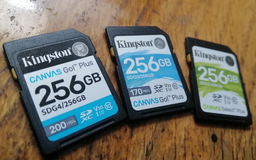 Карта памяти Kingston SDXC 256GB Canvas Go! Plus G4 Class 10 UHS-I U3 V30 (SDG4/256GB) фото от покупателей 1