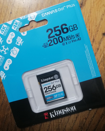 Карта памяти Kingston SDXC 256GB Canvas Go! Plus G4 Class 10 UHS-I U3 V30 (SDG4/256GB) фото от покупателей 4