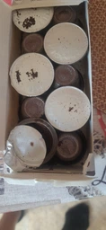 Капсула Dolce Aroma Crema для системы Nespresso 5 г х 10 шт (4820093484749)