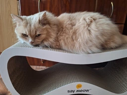 Когтеточка-лежанка для кошек Say Meow Grace гофрокартон, 67х27х24 см (8040190103008) фото от покупателей 11