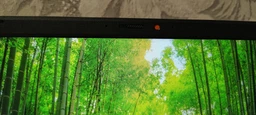 Ноутбук ASUS 17.3" Vivobook 17 (X1704ZA-AU143) Intel Core i3-1215U/8GB/SSD512GB/Intel Graphics/DOS/Blue (90NB10F2-M005Z0) фото від покупців 1