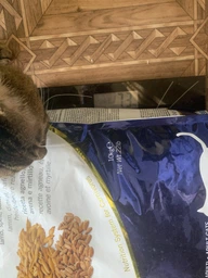 Сухой корм Farmina (Фармина) N&D Low Grain Cat Lamb & Blueberry Adult-1.5 кг