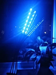 Фітолампа на 4 лампи світлодіодна LED для росту рослин на прищіпці фітосвітильник для кімнатних квітів, розсади, орхідей фіто лампа фото від покупців 5