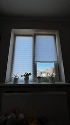 Жалюзи-плиссе на окна самоклеящиеся 60x180 см, Белый (BLINDS-WHITE60X80) фото от покупателей 2