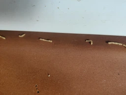 Комплект 2 шприца гель-паста средство от тараканов Targan-dez Stop Cockroach gel + Подарок Клеевая ловушка фото от покупателей 7