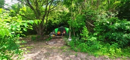 Кемпінгова палатка NILS CAMP NC6031 HIGHLAND сіро-зелений фото від покупців 7