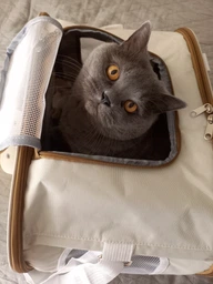 Сумка переноска для кота кошки котенка собаки до 8 кг с сетчатым окошком голубая 46х30х30 см (002298) фото от покупателей 11