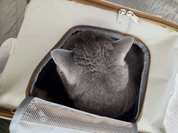 Сумка переноска для кота кошки котенка собаки до 8 кг с сетчатым окошком голубая 46х30х30 см (002298) фото от покупателей 8