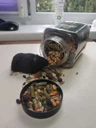 Корм для хом'ячків "Hamster" тм Буся - 550г фото від покупців 1