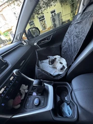 Автокресло автогамак для собак в машину авто на переднее сиденье защитная накидка гамак чехол водостойкий с прочной фиксацией автомобильная подстилка с бортами для перевозки собаки питомцев щенков защита сиденья салона для поездок путешествий (002253) фото от покупателей 3