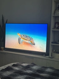 Телевізор Sharp QLED 43" 4T-C43GP6265ES фото від покупців 1
