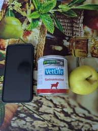 Влажный корм Farmina Vet Life Gastrointestinal для собак, при заболевании ЖКТ, 300 г