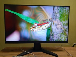 Монітор 24.5" MSI MAG 256F E20 -- FullHD / Rapid IPS 200Hz / 0.5ms (GtG) / 8-Bit + FRC / sRGB 99% / Adaptive-Sync / HDR Ready / HDMI 2.0 фото від покупців 17
