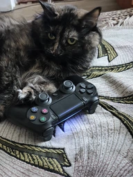 Джойстик бездротовий для ПК PS4 Android iOS TV Windows універсальний Bluetooth Wireless Controller геймпад із подвійною вібрацією + USB дата кабель Wireless Controller MODEL BPG-2016 (EAN717720307)