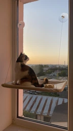 Подвесная лежанка - гамак для кошек Window Mounted Cat Bed фото от покупателей 2