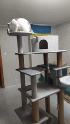 Высокий игровой кошачий комплекс когтеточка с большим домиком гамаком коту кошке 195х80х60см серый фото от покупателей 8