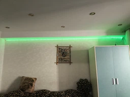 Светодиодная LED лента 5м Smart RGB + White с пультом и USB питанием. Управление через телефон Bluetooth 5050 Совместимость с Авто, ТВ, ПК (модель Striscia Led RGB) БЕЛАЯ