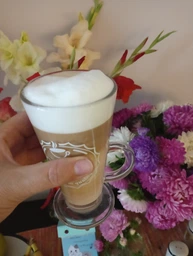 Капучинатор Latte GO латте го филипс
