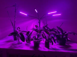 Світлодіодна фітолампа для росту рослин та розсади Gardlov Повний спектр 4 голови