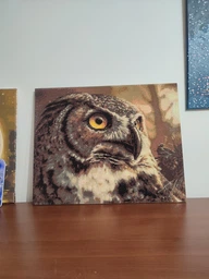 Алмазная мозаика на подрамнике ColorArt 40x50 Сова SPP110 + Подарок лак для покрытия
